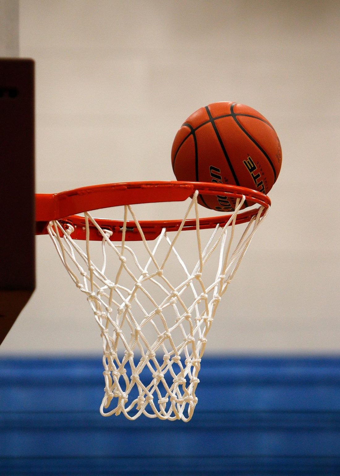 MK体育 · 热点专题